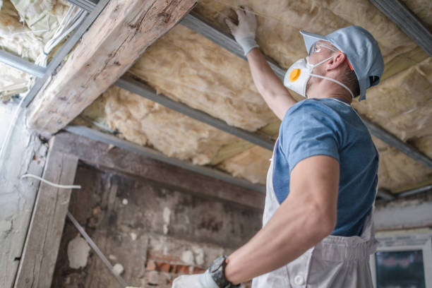 Best Best Insulation Companies  in Todd Creek, CO