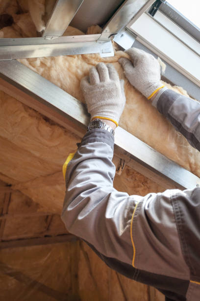 Best Spray Foam Insulation  in Todd Creek, CO