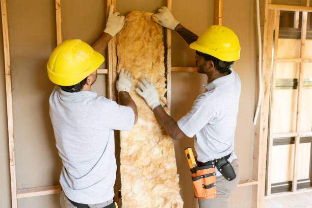 Trusted Todd Creek, CO Insulation Contractor Experts