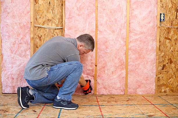 Best Affordable Insulation Services  in Todd Creek, CO