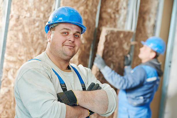 Best Spray Foam Insulation  in Todd Creek, CO