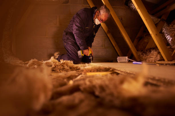 Best Crawl Space Insulation  in Todd Creek, CO